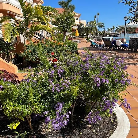 Апартаменти Comfort En Tenerife Royal Gardens